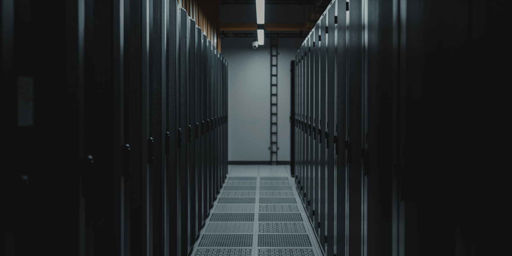 data center liquid cooling|digital risk protection vendors|Hospitality it services companies|Cloud cost optimization services